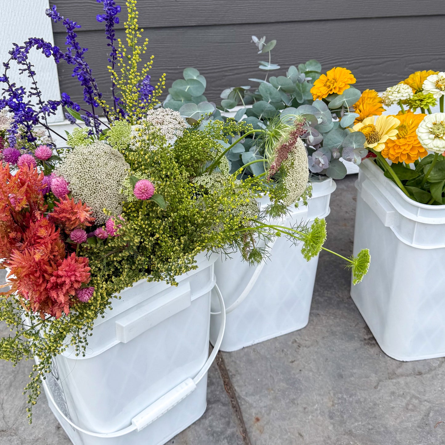 Growers Choice Bulk Flower Buckets