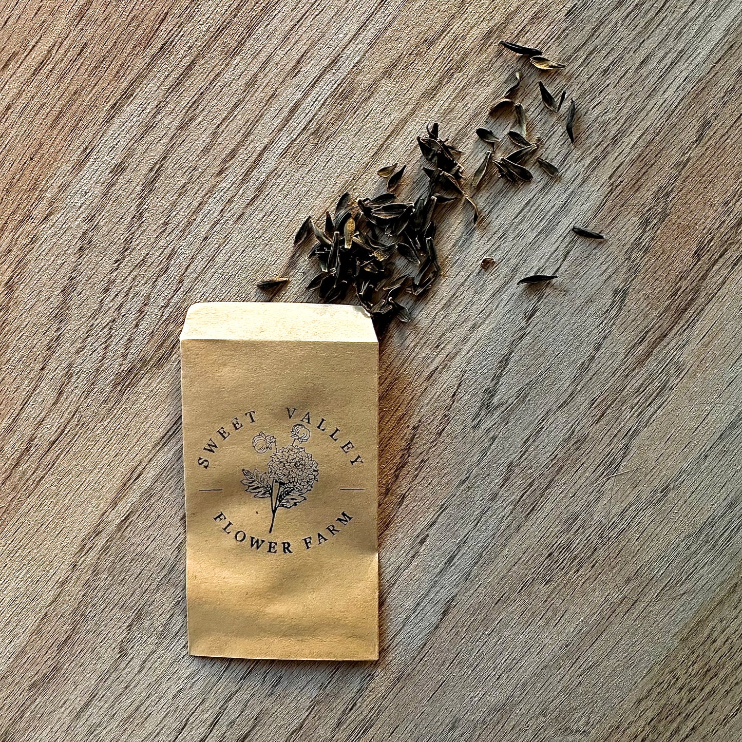 Dahlia Seed Pack