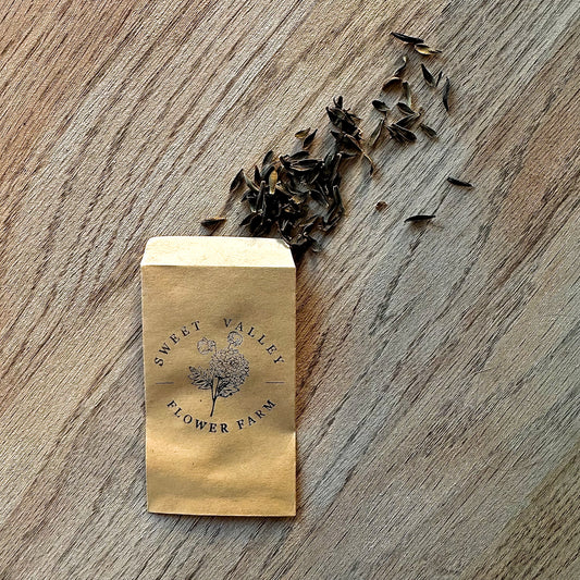 Dahlia Seed Pack